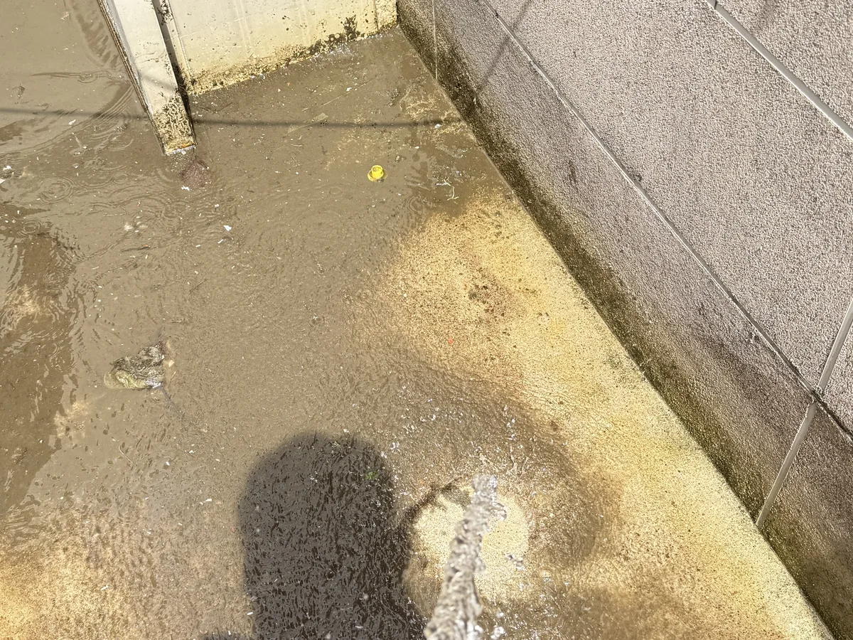 거제시 아주동 배관 관리실·기계실 위생청소 사례 - 행진크린